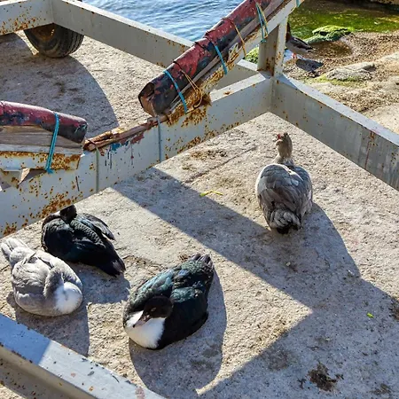 Unique Xemxija Bay 2bedroom, 5m To Sea * St. Paul's Bay