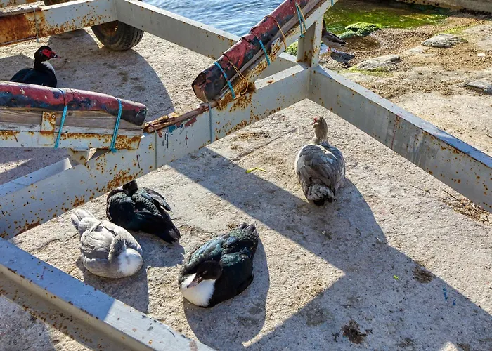 Unique Xemxija Bay 2bedroom, 5m To Sea * St Paul's Bay